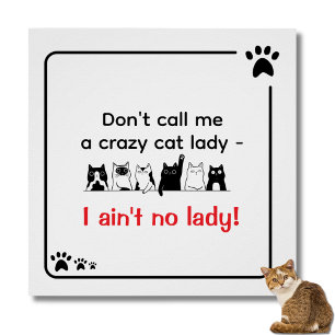 Irrwitziger Humor Verrückte Katzenlady  Poster