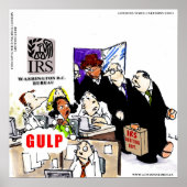 IRS Audits IRS Funny Poster (Vorne)