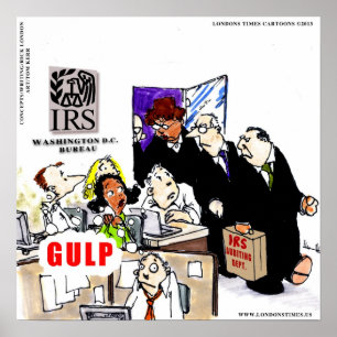 IRS Audits IRS Funny Poster