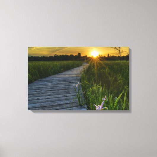 Irwin Prairie Boardwalk Sunset Leinwanddruck (Vorderseite)