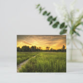 Irwin Prairie Sunset Postcard Postkarte (Stehend Vorderseite)
