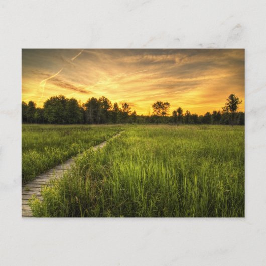 Irwin Prairie Sunset Postcard Postkarte (Vorderseite)