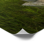 Irwin Prairie Sunset Poster (Ecke)