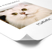 Isaak, ein außergewöhnlicher Silberpersisch Poster (Ecke)