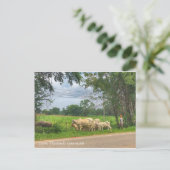 Isaan, Thailands Landschaft Postkarte (Stehend Vorderseite)