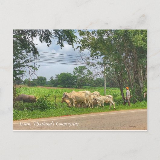 Isaan, Thailands Landschaft Postkarte (Vorderseite)