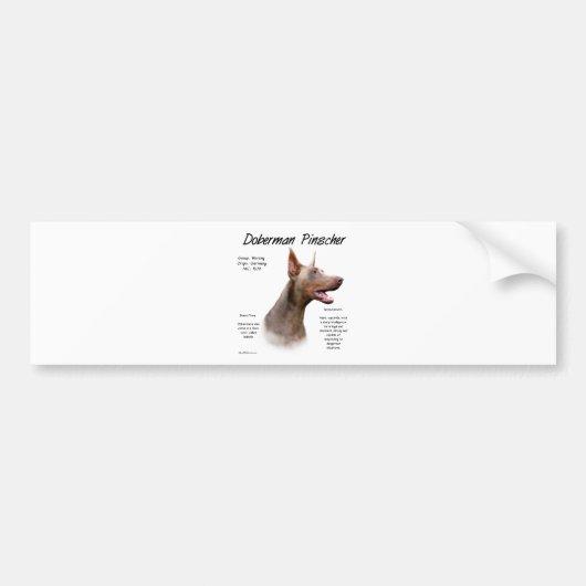 Isabella Doberman History Autoaufkleber (Vorne)