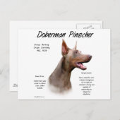 Isabella Doberman History Postkarte (Vorne/Hinten)
