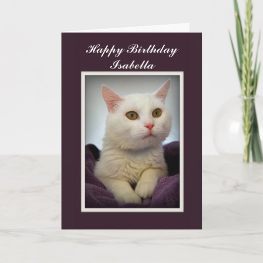 Isabella Happy Birthday White Cat Card Karte (Vorderseite)
