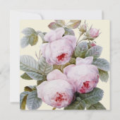 Isabella II Elegante Vintage französische Rose (Rückseite)