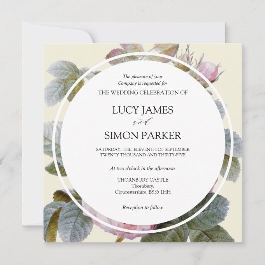 Isabella II Elegante Vintage französische Rose (Vorderseite)