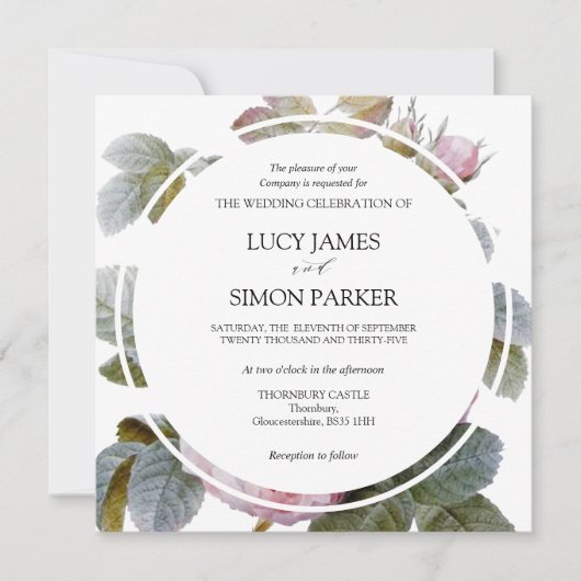 Isabella II, elegante Vintage französische Rose (Vorderseite)