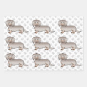 Isabella & Tan Long Hair Dackel Pattern & Paws Geschenkpapier Set (Vorderseite)