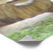 Isaiah 11: 6 Löwe und das Lamm-Poster Poster (Ecke)