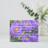 Isaiah 35:1-2 ~ Der Krokus Postkarte (Stehend Vorderseite)