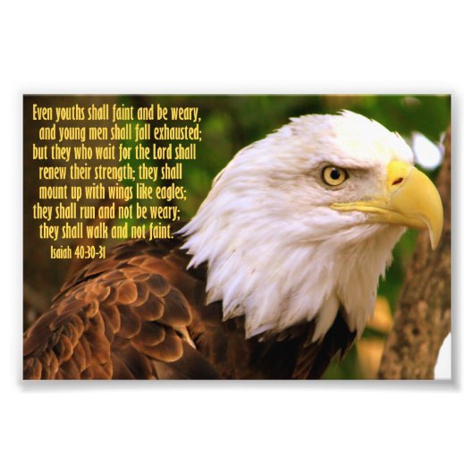 Isaiah 40:30-31 mit Bald Eagle Fotodruck (Vorne)