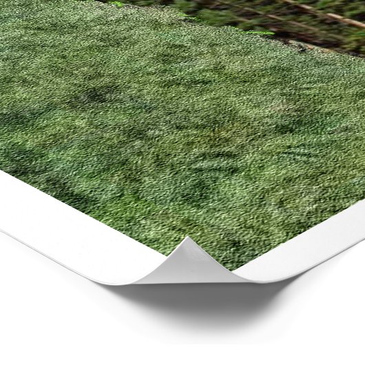 Isaiah 40:30-31 poster (Ecke)