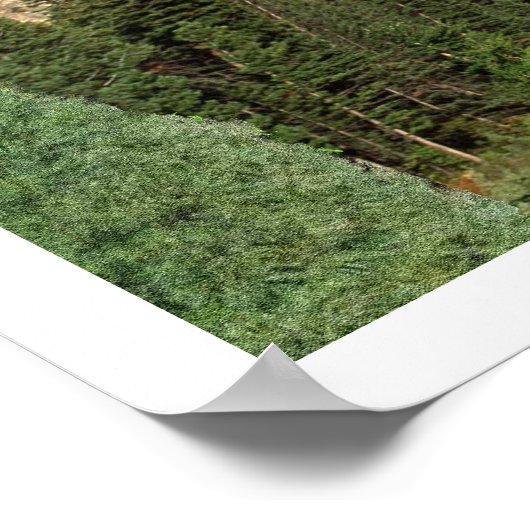 Isaiah 40:30-31 poster (Ecke)