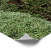 Isaiah 40:30-31 poster (Ecke)