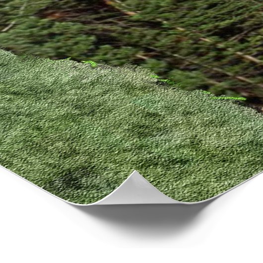 Isaiah 40:30-31 poster (Ecke)