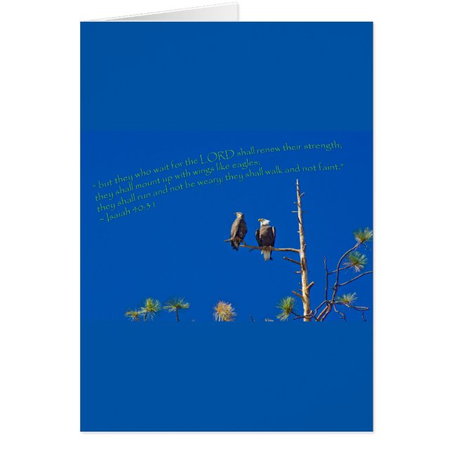 Isaiah 40:31 (Vorne)