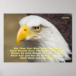 Isaiah 40:31 Bibelverse Monte on Wings Poster