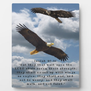 ISAIAH 40:31 FOTOPLATTE