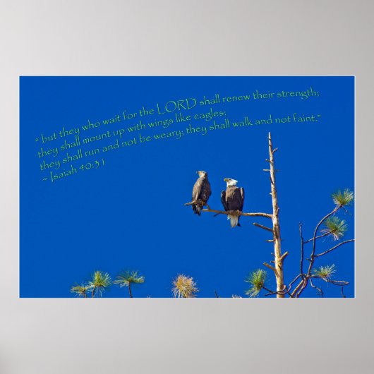 Isaiah 40:31 poster (Vorne)