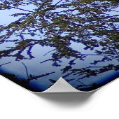 Isaiah 40:31 poster (Ecke)