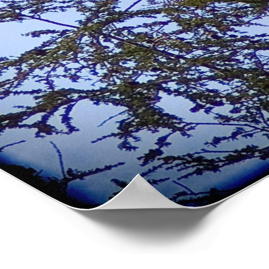 Isaiah 40:31 poster (Ecke)