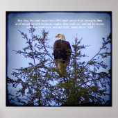 Isaiah 40:31 poster (Vorne)