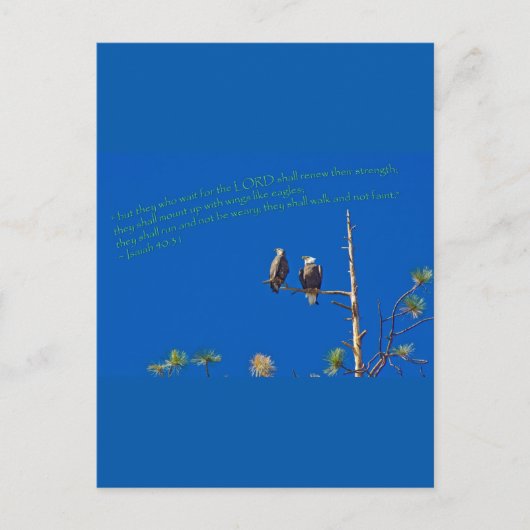 Isaiah 40:31 postkarte (Vorderseite)
