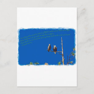 Isaiah 40:31 White Edge Postkarte
