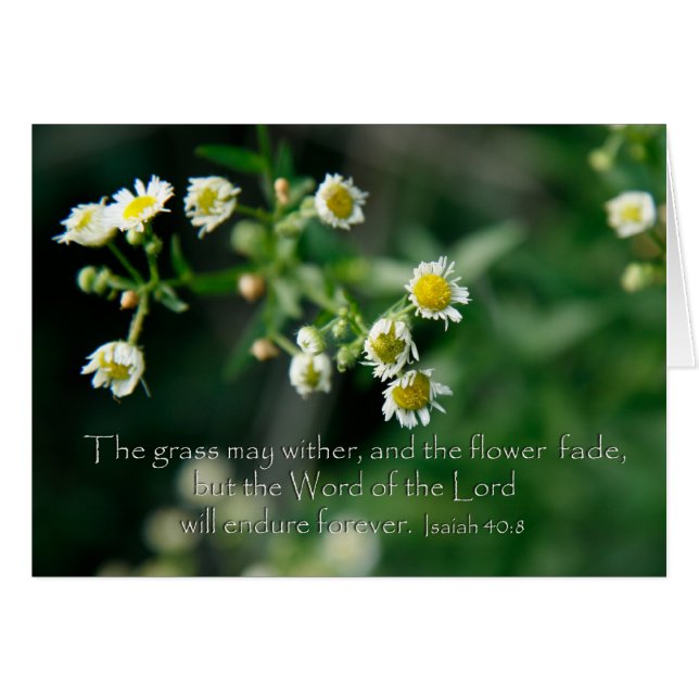 Isaiah 40:8 Das Gras kann verwelken und verblassen (Vorderseite (Horizontal))