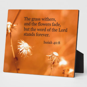 Isaiah 40:8 Der Rasen im Inneren und die Blume ver Fotoplatte