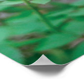 Isaiah 40:8 poster (Ecke)