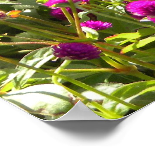 Isaiah 40:8 poster (Ecke)