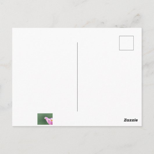 Isaiah 41:10 postkarte (Rückseite)