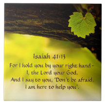 Isaiah 41:13 Ich halte dich an deiner rechten Hand