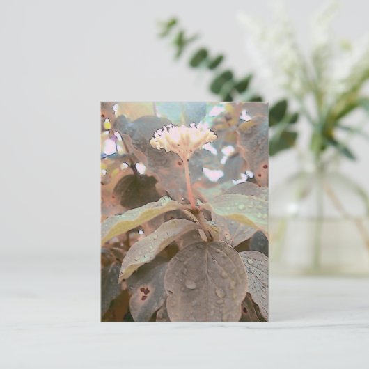 Isaiah 41:13 postkarte (Stehend Vorderseite)