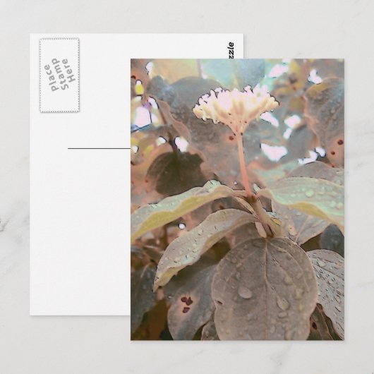 Isaiah 41:13 postkarte (Vorne/Hinten)