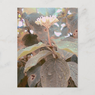 Isaiah 41:13 postkarte