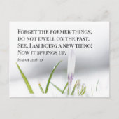 Isaiah 43:18 I am doing a NEW THING Bible Verse Postkarte (Vorderseite)