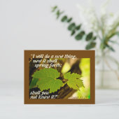 Isaiah 43:19 Bible Verse I will do a new thing Postkarte (Stehend Vorderseite)