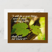 Isaiah 43:19 Bible Verse I will do a new thing Postkarte (Vorne/Hinten)