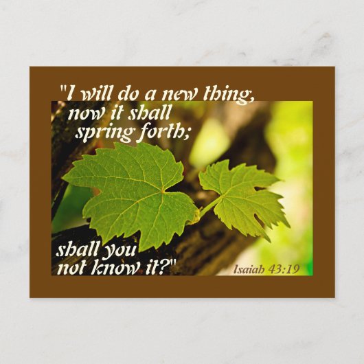 Isaiah 43:19 Bible Verse I will do a new thing Postkarte (Vorderseite)