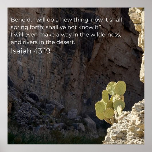 Isaiah 43:19 KJV Wall Art – Scripture Poster (Vorne)