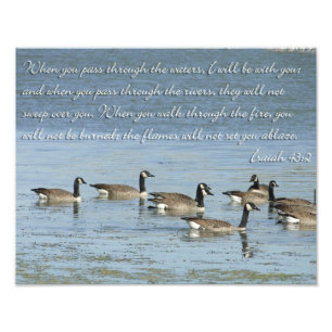Isaiah 43:2 Bibelverse mit schwimmenden Gänsen Fotodruck