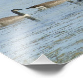 Isaiah 43:2 Bibelverse mit schwimmenden Gänsen Fotodruck (Ecke)