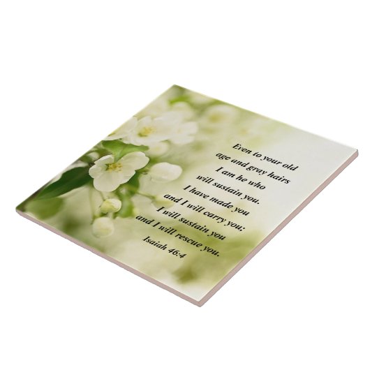 Isaiah 46:4 Ich bin Er, der dich erhalten wird Fliese (Seite)